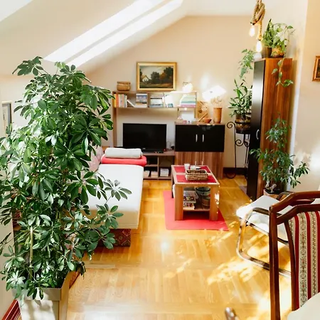 Apartment Zamak *