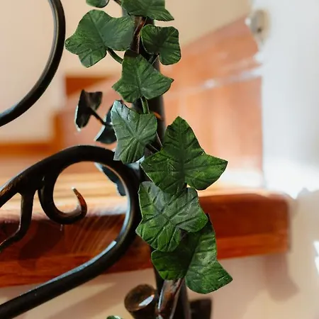 شقة Zamak سومبور